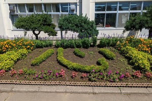 pxl_20220817_015426800.jpg