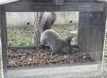 img_0896.jpg