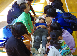 imgp0495.jpg