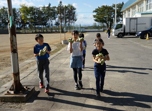 dsc08934.jpg
